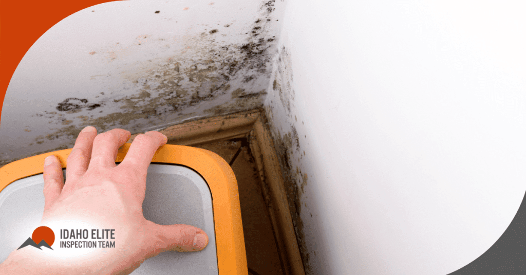 Inspecting mold growth in interior corner