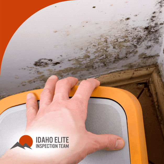 Inspecting mold growth in interior corner